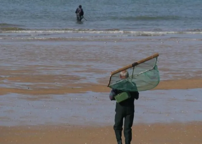 Mobil Avec Terrasse Pour 5 Pers, St-jean-de-monts - Api-1-52-983
